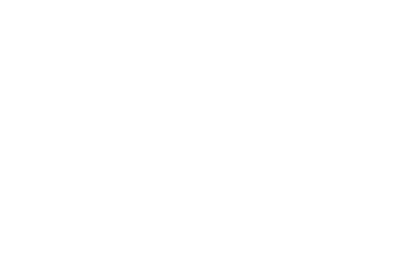 Advantage Industrial Automation logo